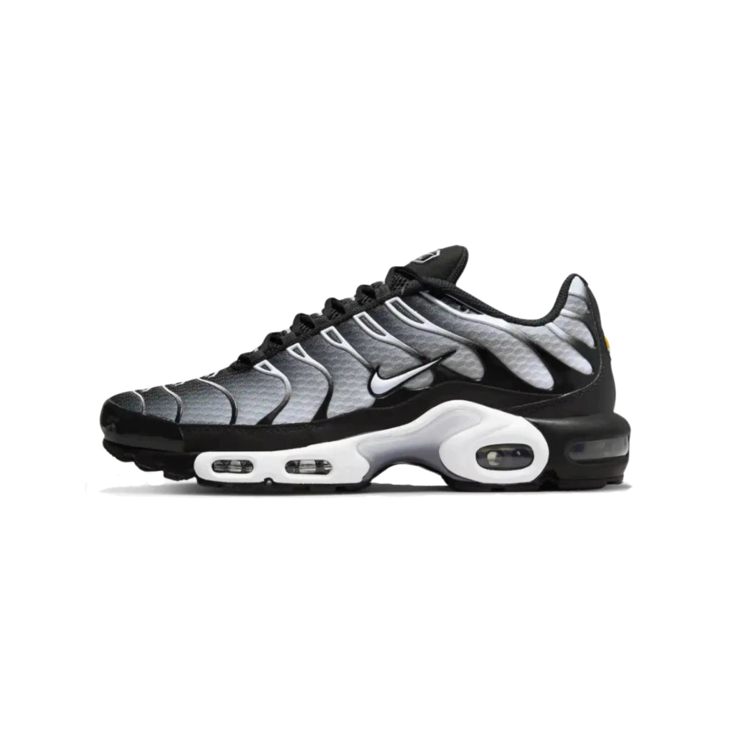 AIR MAX PLUS TN “METALLIC”