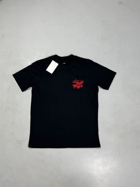 CAMISETA NK SB MAX90